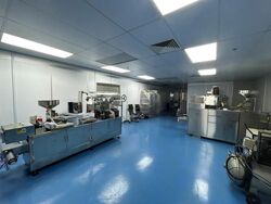 Lorong Paya Lebar (D19), Factory #503297261